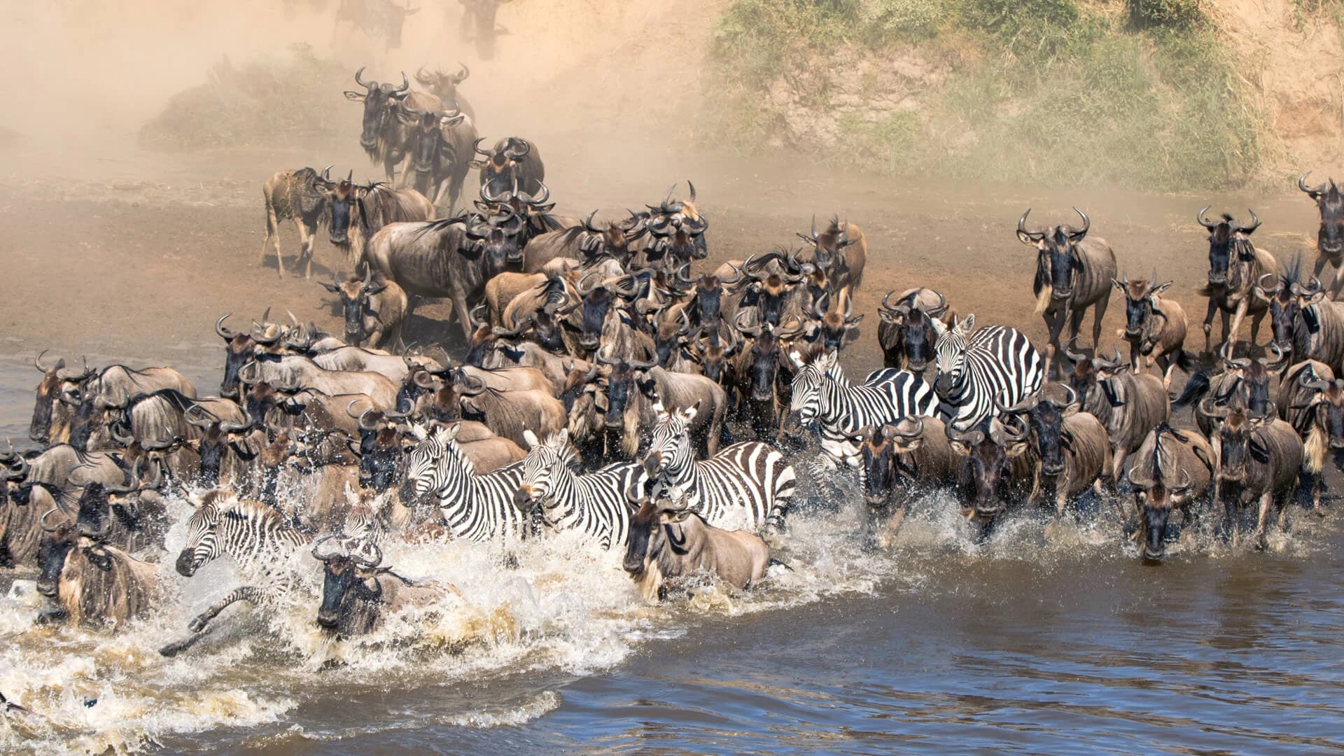 5 Days Serengeti Great Migration Safari