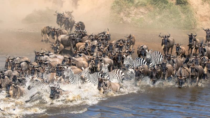 5 Days Serengeti Great Migration Safari