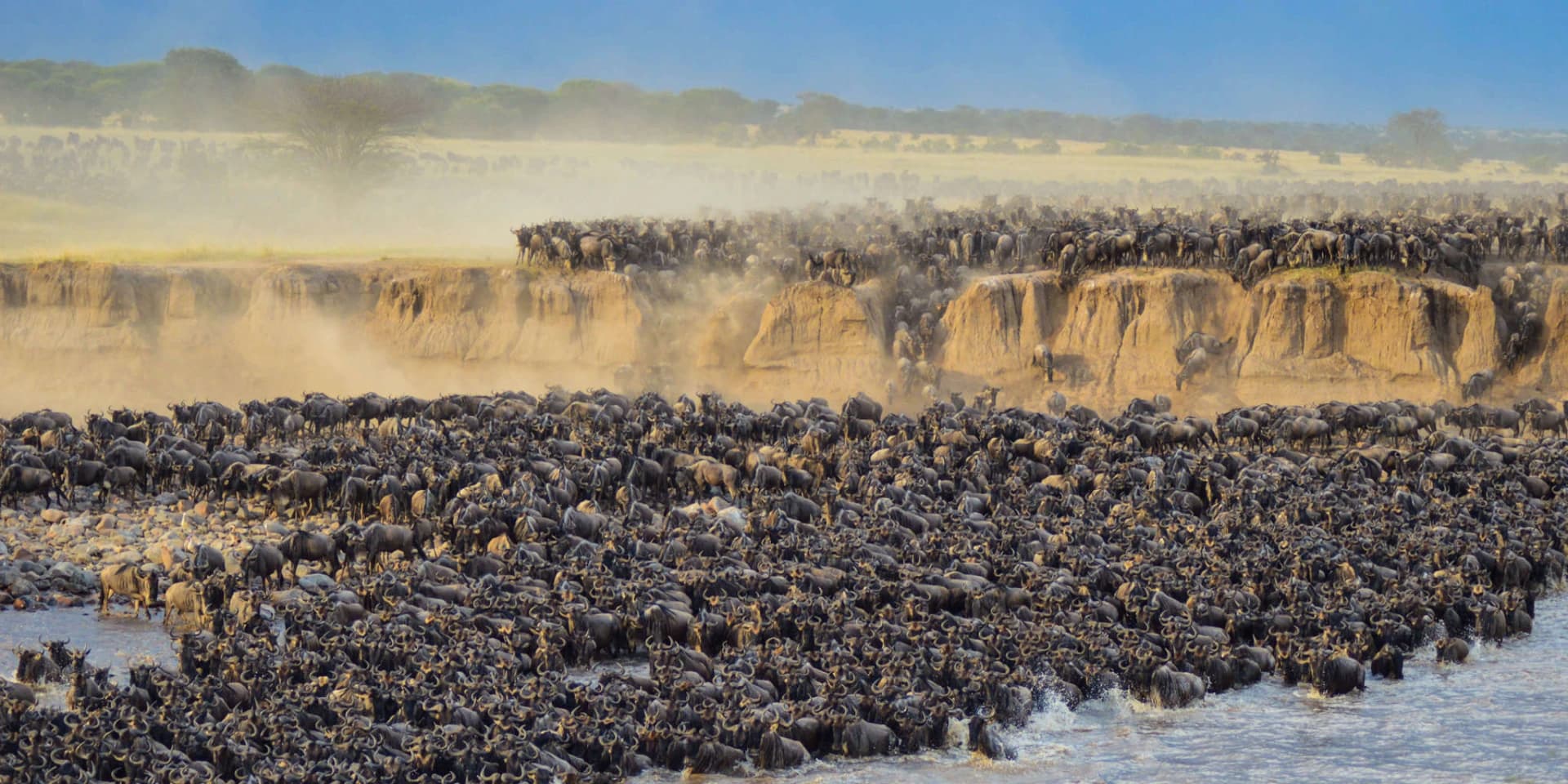 7 Days Great Migration Safari