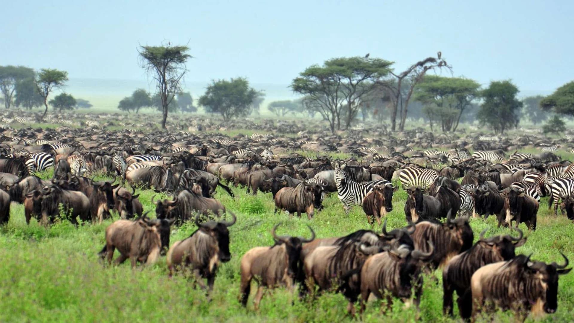 Serengeti National Park